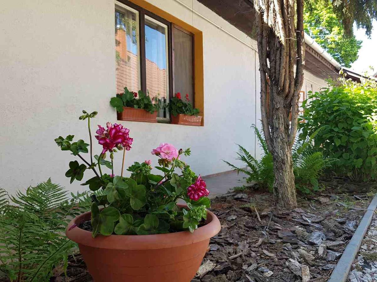 Kúti Vendégház Bakonykuti Exterior foto