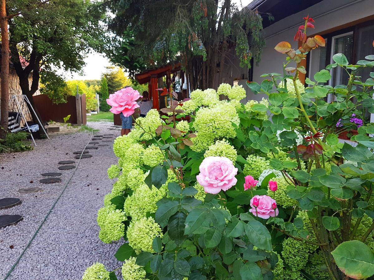 Kúti Vendégház Bakonykuti Exterior foto
