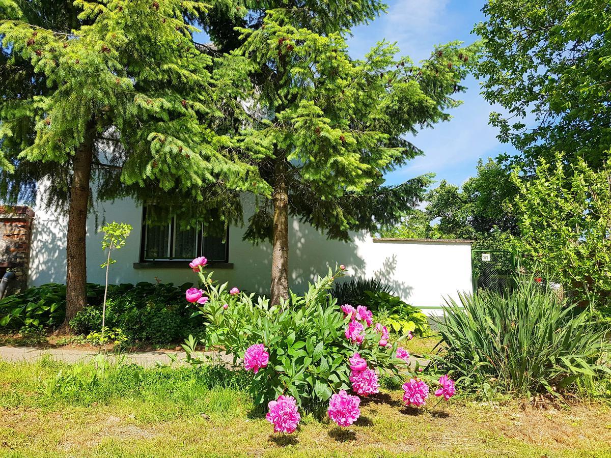 Kúti Vendégház Bakonykuti Exterior foto